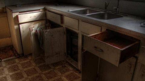 A Seed and a Pod - 4a.jpg