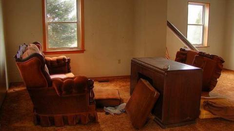 A Seed and a Pod - 5.jpg