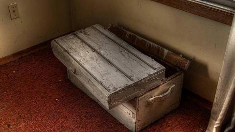 A Seed and a Pod - 5c.jpg