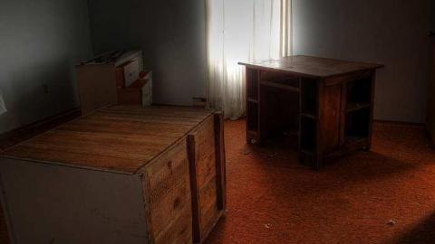 A Seed and a Pod - 6a.jpg