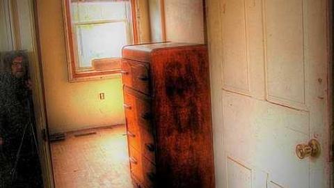 A Seed and a Pod - 6b.jpg