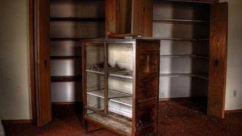 A Seed and a Pod - 7.jpg