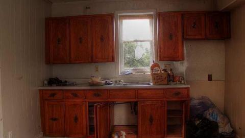 A Seed and a Pod - 8.jpg