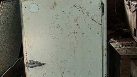 A Seed and a Pod - 8a.jpg