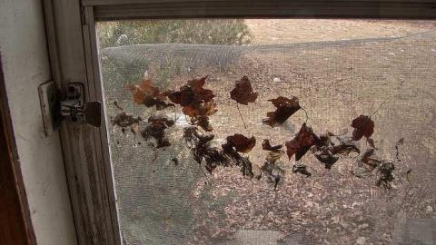 A Seed and a Pod - 8b.jpg