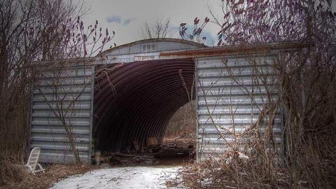 A Seed and a Pod - 8c.jpg