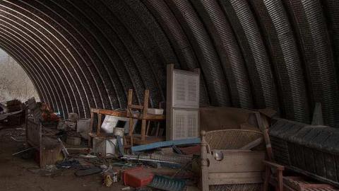 A Seed and a Pod - 8d.jpg