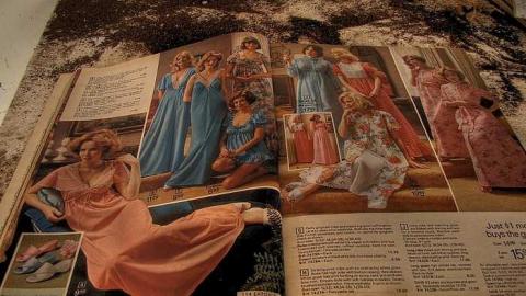 A Seed and a Pod - 9.jpg