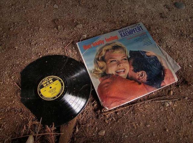 Wink and a Nod photo 4