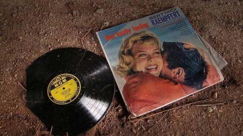 Photo from A Seed and a Pod