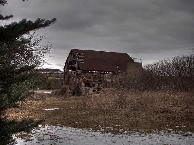 Wink and a Nod photo 5