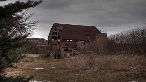 A Seed and a Pod - 9c.jpg