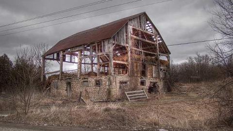 A Seed and a Pod - 9d.jpg