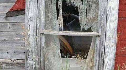 Photo from Grandparents