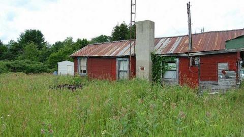 Grandparents cover photo