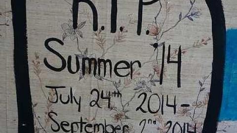 Three Trips '17 - The-Prettiest-Street35.jpg