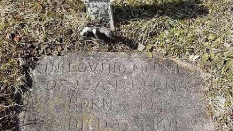 Killean Pioneers - Killean-Pioneer-Cemetery-183215.jpg