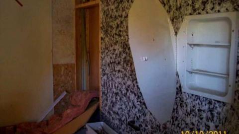 Trailers - St.-Albert-Trailer-Park41.jpg