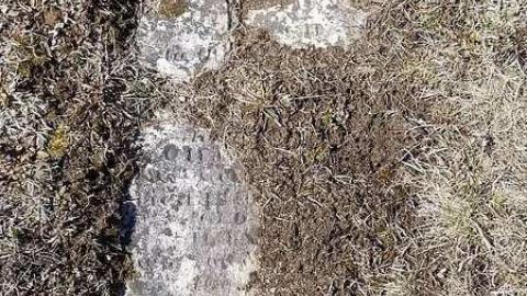 Killean Pioneers - Killean-Pioneer-Cemetery-183227.jpg