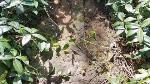 Photo from Marian Pioneers