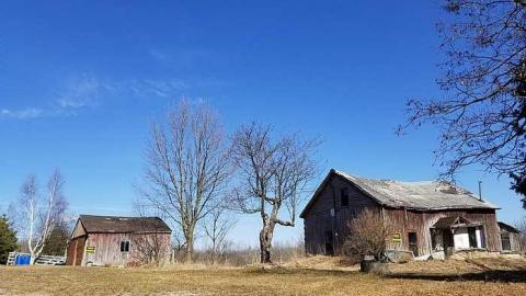 Architectural Anomalies - Road-Sign-Shack26.jpg