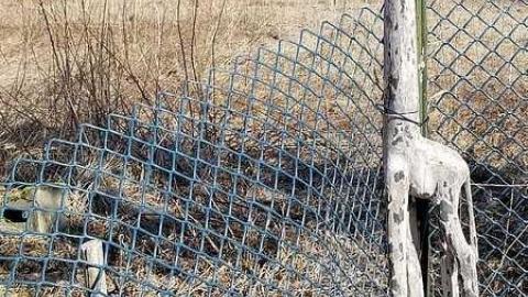 Architectural Anomalies - Road-Sign-Shack27.jpg