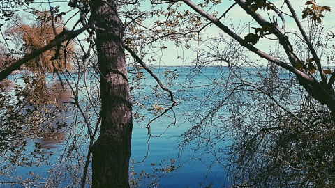 Photo from Paint it Blue 