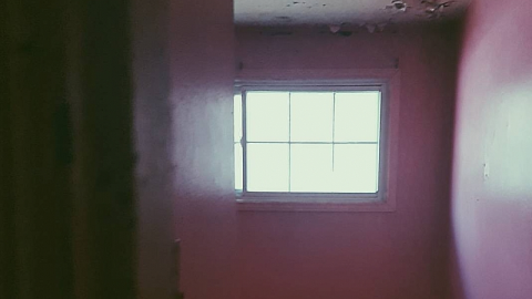 Photo from Full of Colour 