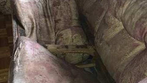 Photo from Spring 2018