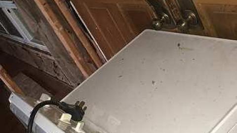 Photo from Spring 2018