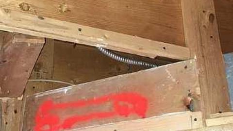 Spring 2018 - Better-than-Goodlife5.jpg