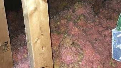 Spring 2018 - IMG_1701.jpg