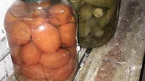 Spring 2018 - IMG_1697.jpg