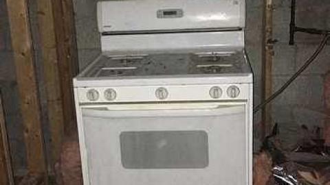 Spring 2018 - IMG_1695.jpg