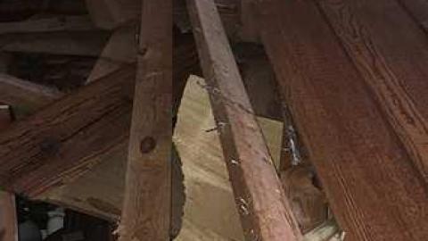 Spring 2018 - IMG_1693.jpg