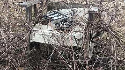 Spring 2018 - IMG_1691.jpg