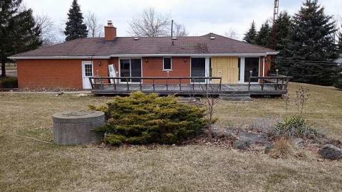 We Don't Call 911 '18 - DSC05387.jpg