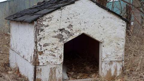 Far From Pro-Fect '18 - DSC05823.jpg