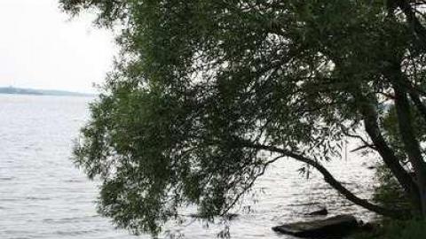 Garry - Battle-of-the-Windmill5.jpg