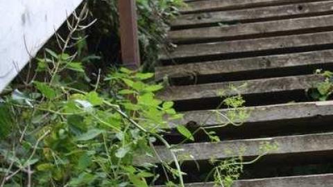 Garry - Battle-of-the-Windmill6.jpg