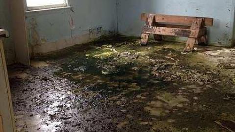 Small Country House photo 2