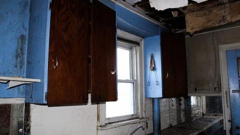 Photo from Mold EveryWhere