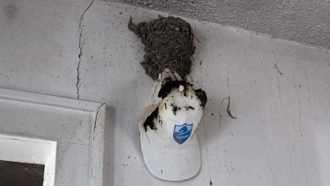 Photo from Mold EveryWhere