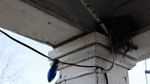 Mold EveryWhere - E3BCB383-54E9-4C56-B010-6410D9AFB36F.jpeg