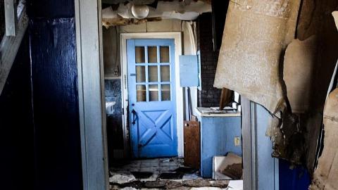 Mold EveryWhere - 251CE228-26F8-4CA2-BF92-386409595EF3.jpeg