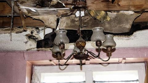 Mold EveryWhere - DD86907C-1F8D-4D63-893D-F4180441B391.jpeg