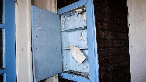 Mold EveryWhere - B45AAC09-3C29-47AA-8D2D-78EC6EE4615F.jpeg