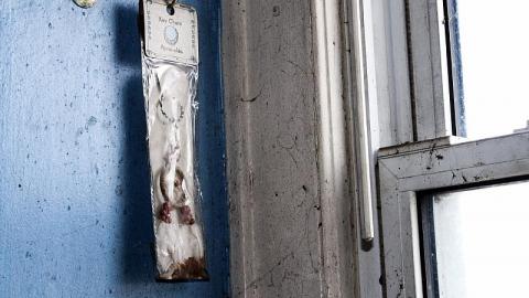 Mold EveryWhere - F4E50145-B1A5-4E84-8181-01EE0243ACA7.jpeg