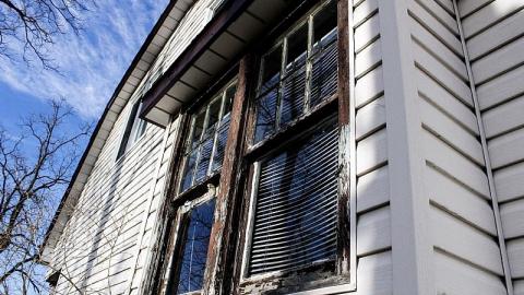 Mold EveryWhere - E3203A3C-619E-41F9-9DD4-5642A4FBA351.jpeg