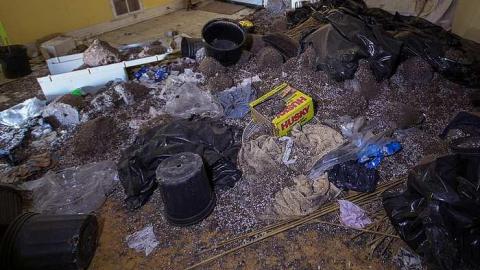 Gone to Pot - IMG_0155s.jpg